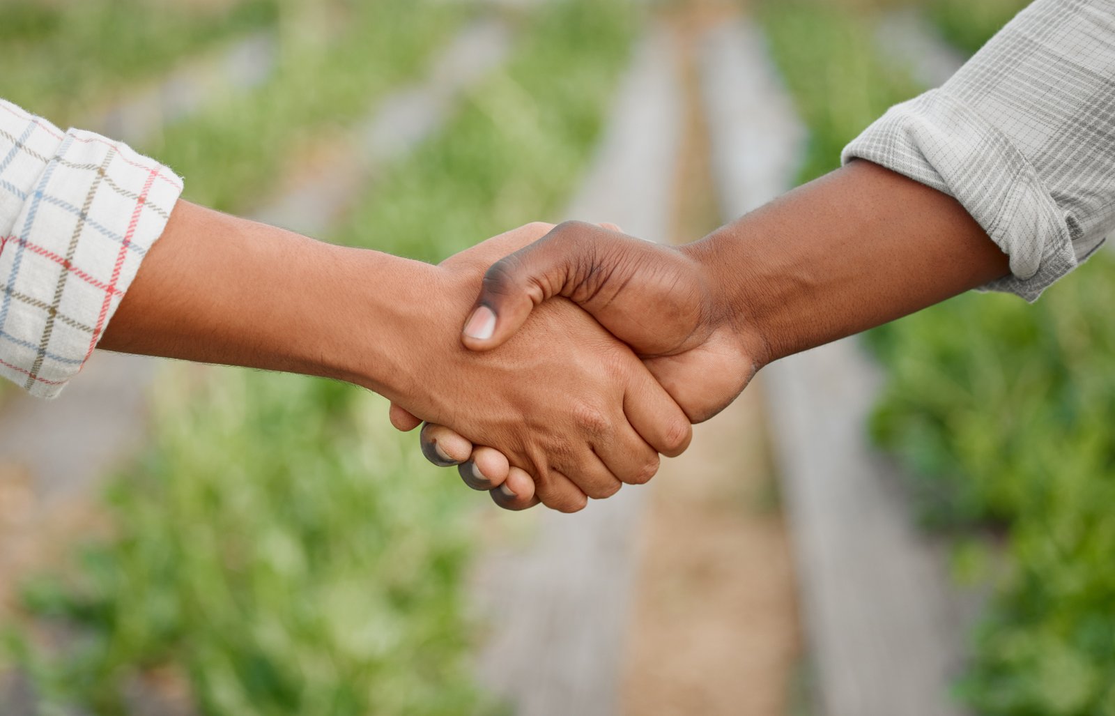 Partnership Handshake